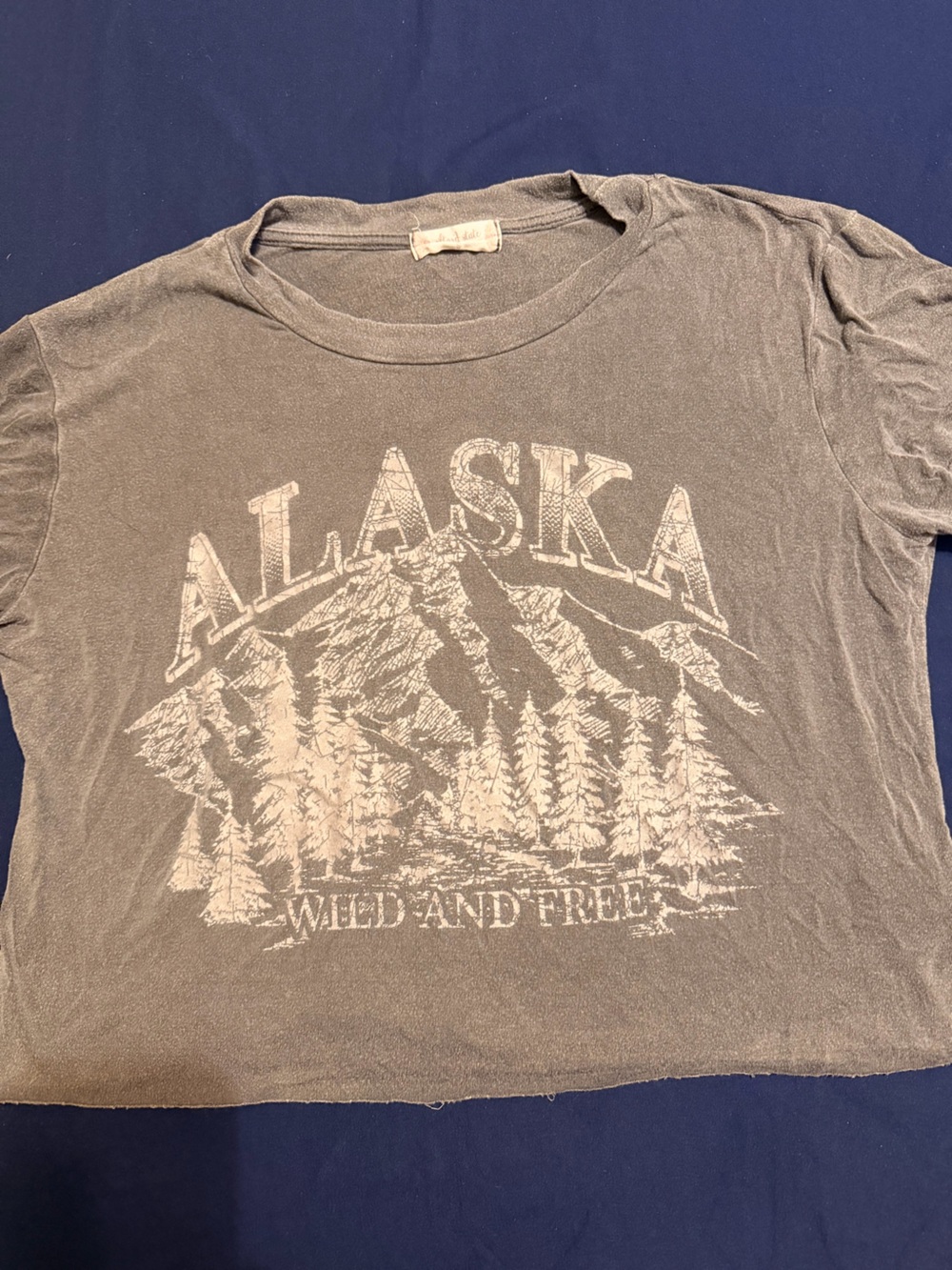 Altard state crop Alaska Graphic Tee - Wild and Free - Gray
